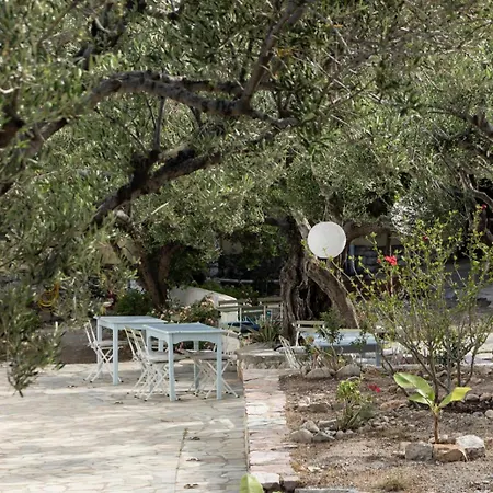 Spitia Vasili Kapsálion