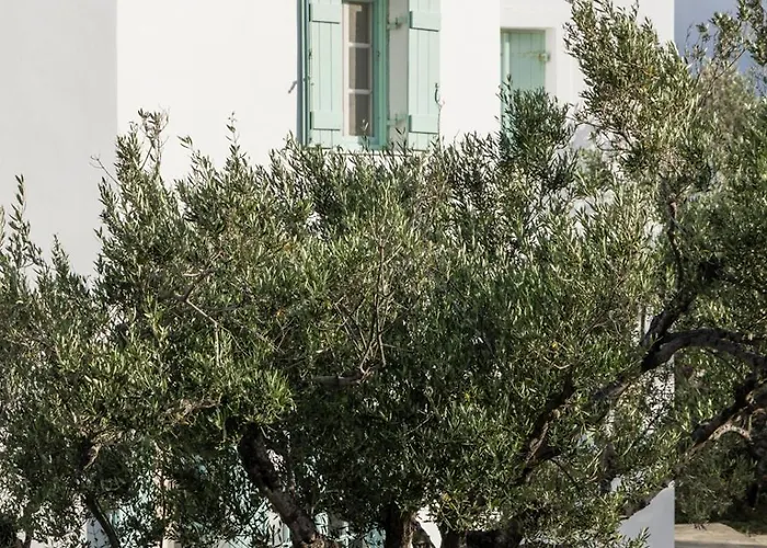 Apartahotel Spitia Vasili Kapsálion